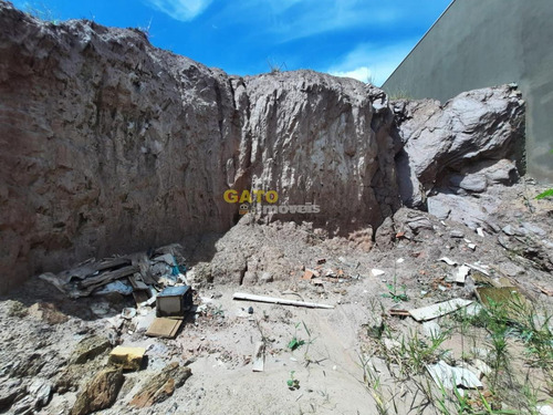Imagem 3 de 10 de Terreno Para Venda Em Cajamar, Colina Maria Luíza (jordanésia) - 21114_1-1793953