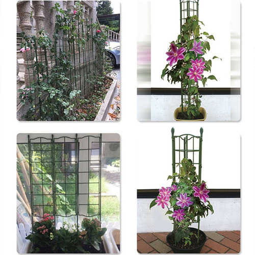 Plantas De Escalada De Treliça De Jardim Apoiam Montagem Fle