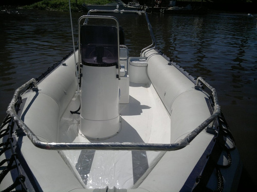 Viking 6mts Con Mercury 60 Hp 4 Tiempos Ideal Lagos Del Sur
