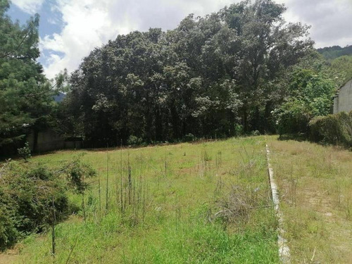 Imagen 2 de 10 de Terreno En Venta Los Alcanfores