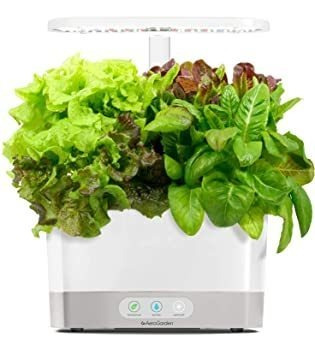 Aerogarden Cosecha Blanca