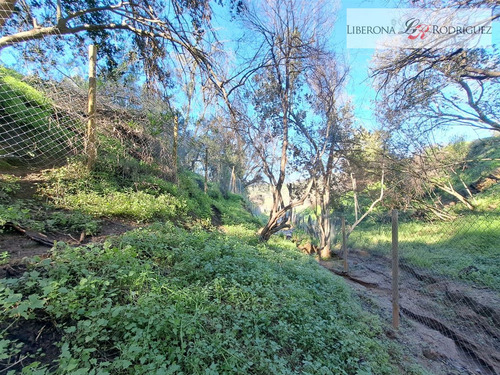 Parcela En Venta En Limache