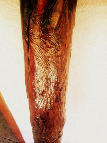 Imagen 3 de 10 de Didjeridoo Didgeridoo Original De Eucalipto Meditación Yoga