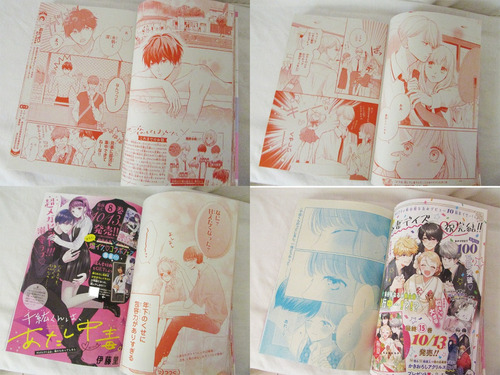 Mangá Nakayoshi 11, 2022 Sakura Card Captor + Brinde Japonês