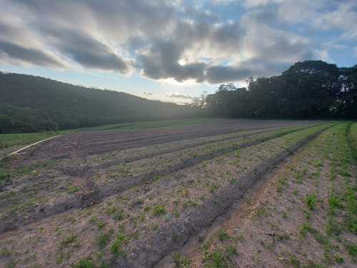 Imagem 14 de 25 de 20o Terreno A Venda Em Cotia