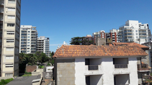 Imagen 9 de 30 de Piso 3 Ambientes A Estrenar