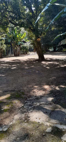 Imagem 4 de 30 de Chácara Com 2 Dorms, Área Rural De Pirassununga, Pirassununga - R$ 300 Mil, Cod: 51400 - V51400