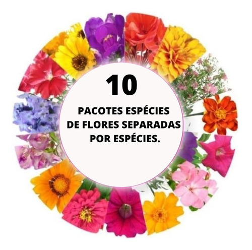 Kit 10 Espécies Diferentes Flores Jardim Enviadas Separadas!