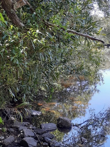 Campo De 47 Has En Paraje Los Caracoles - Consulte !!!!!- Ref: 1359