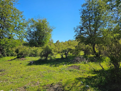 Hermoso Terreno En Seccion Lago Lezana -cholila-chubut