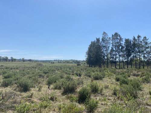 Imagen 11 de 17 de Chacra - Pueblo Edén