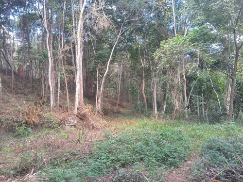 Imagem 14 de 30 de Excelente Terreno Á Venda De 16.500m2 Em Condomínio Rural Clube Juca Vieira C/ Área De 16.500 M², C/ Córrego De Água Cristalina Nos Fundos! - Oci0101 - 69485109