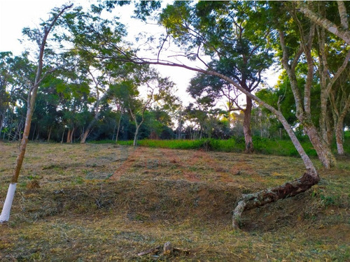 Imagem 19 de 20 de Terreno Jacareí - Sp - 2094