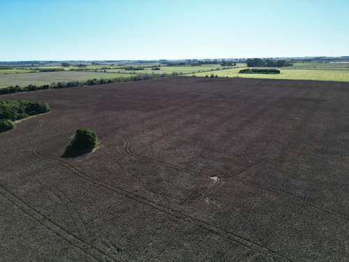 Campo De 37 Ha A Pocas Cuadras Del Cruce De R8 Y R51