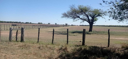 Imagen 9 de 15 de Terreno Campo En Venta Ubicado En La Maruja, Rancul