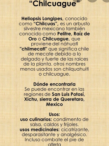 Imagen 4 de 6 de Chilcuas Extracto De Chilcuague Concentrado Mayoreo Negocio