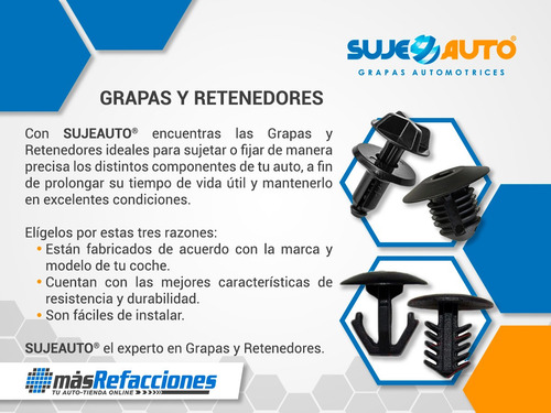 Grapa Cañuela Negra Gm Pick Ups/universal 50 Piezas Sujeauto