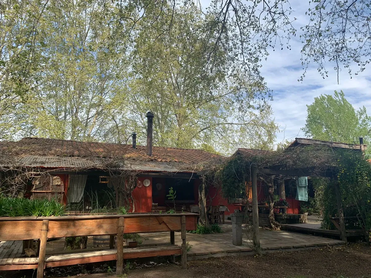 Imagen 5 de 11 de Se Vende Linda Casa De Campo Con Grandes Árboles