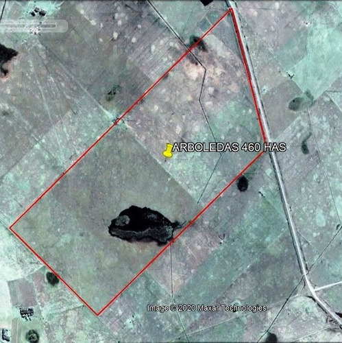 Imagen 9 de 9 de Campo Ganadero De 460 Has En Venta En Daireux, Buenos Aires