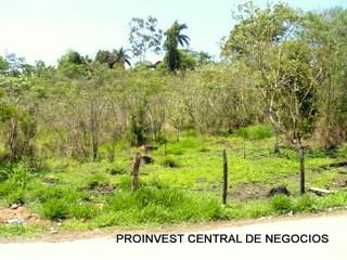 Imagem 2 de 6 de Área À Venda, 4344 M² Por R$ 1.954.800,00 - Jardim Pioneira - Cotia/sp - Ar0288