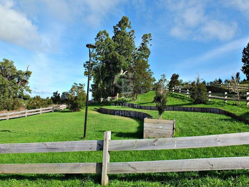 Condominio Consolidado | Acceso Al Lago Llanquihue