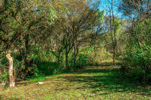 Imagen 8 de 12 de Terreno + Venta + Castellanos + 1.693 M2