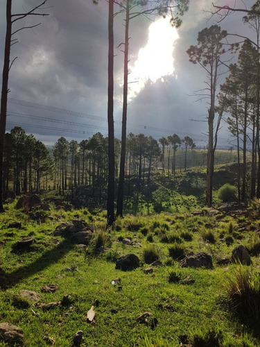 Terreno De 10.000 M2 Hermosas Vistas Yacanto Calamuchita