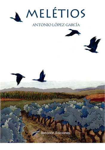 Melãâ©tios, De López García, Antonio. Editorial Bohodón Ediciones S.l., Tapa Blanda En Español