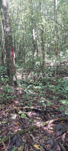 En Venta Amplio Terreno Ejidal Ubicado En Muyil, Tulum.