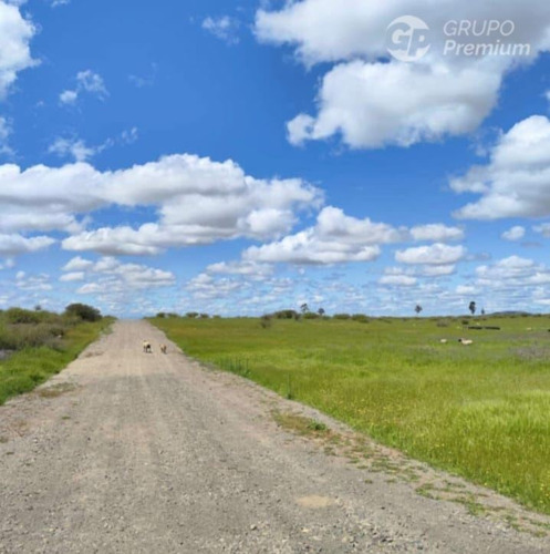 Sitio En Venta En Cauquenes
