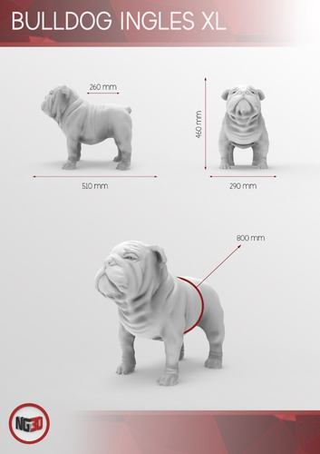 Maniquí De Perro Modelo Bull Dog Ingles Tamaño Xl