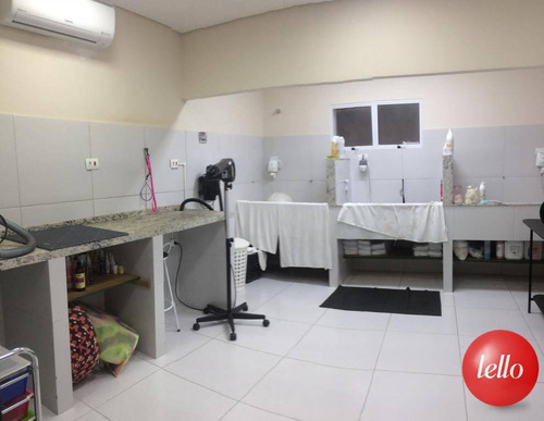 Imagem 7 de 14 de Comercial - Ref: 228881