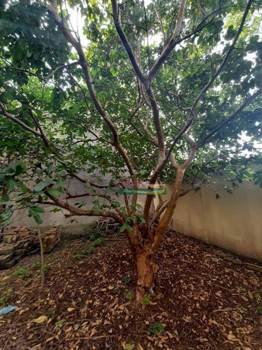 Imagem 19 de 20 de Casa Com 4 Dormitórios À Venda, 150 M² Por R$ 800.000 - Centro - Taubaté/sp - Ca6207