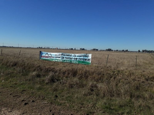 Imagen 8 de 15 de Terreno En Venta En Domselaar