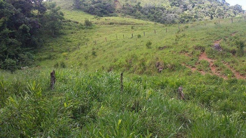 Imagem 5 de 6 de Fazenda Com 37 Alqueires Mineiros, Passa Vinte - Mg - 10078