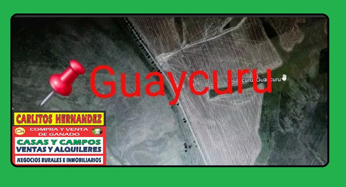 Campo En Zona Guaycuru En San Jose Necesitamos Campos - Chacras - Casas - Estancias Para La Venta Y Para Arrendar Por Pedidos Concretos De Nuestros Clientes