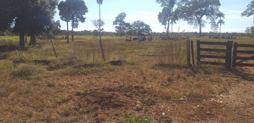 Imagem 6 de 25 de Rural, Zona Rural, Nova Crixás - Go | 945509 - Go - Ch0113_abi