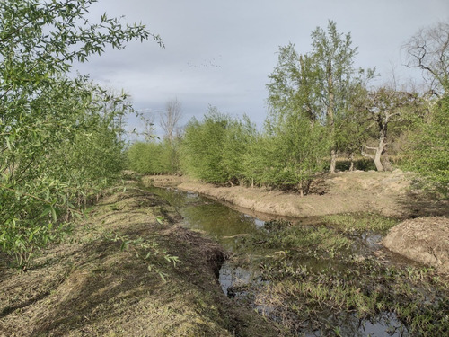 Lote Quinta Arroyo Ñacurutu Zarate