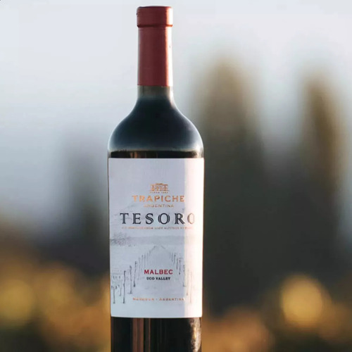 Vino Tinto Trapiche Tesoro Malbec - Caja X3