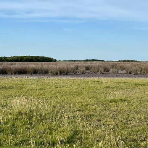 Imagen 9 de 14 de Campo Zona Laguna Los Horcones