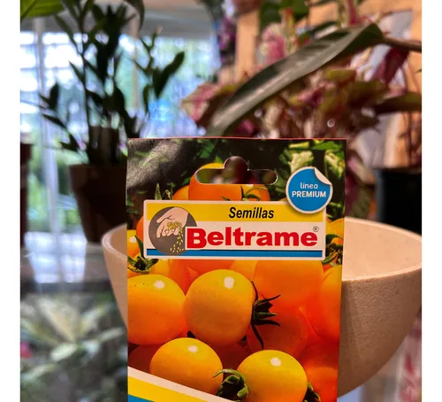 Semillas Tomate Cherry Amarillo - Envíos