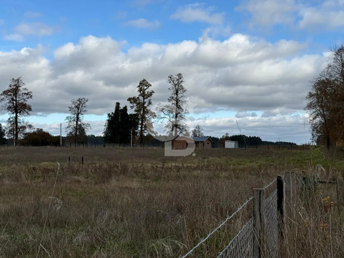 Parcelas 5.000 M² Cerca De Osorno