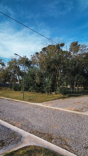 Lote Interno | Plumerillos | José C. Paz
