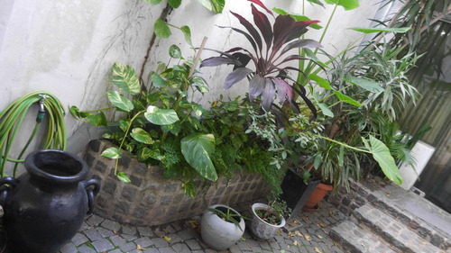 Dueño Vende Ph Independiente Con Pileta Semiclimatizada, Cochera, 5 Dormitorios, Quincho, Parrilla, Jardín, Patio, 8,66 Mts De Balcón, 2 Habs En Pb Y 3 En 1° C/espacio Aéreo, Coghlan Al Cfte-fte