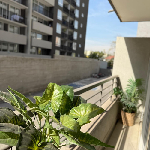 Departamento 2 Dormitorios Y 2 Baños Con Estac. Y Bodega Zañ