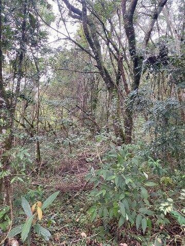 Imagem 3 de 4 de Terreno À Venda, 1700 M² - Loteamento Santo Antonio - Jundiaí/sp - Te0420