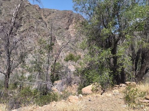 Vendo Terreno En Sector De Riecillo, Los Andes