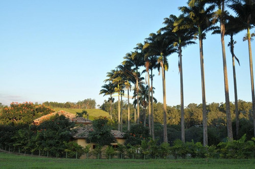Imagem 25 de 30 de Terreno - Condomínio Village Das Palmeiras - Te0379