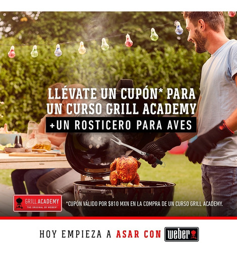 Weber Asador De Gas Portátil Q2200 Titanium - 54060001