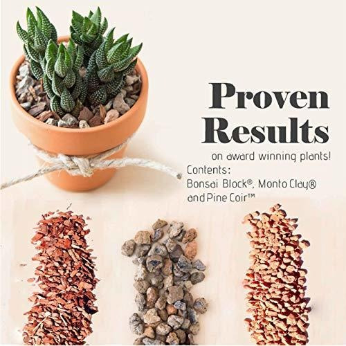 Imagen 5 de 7 de Herramientas Para Bonsai Suelo De Cactus Y Suculentas Bonsai